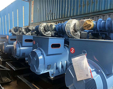 云顶国际集团500KW/400V陆用发电机应用于某养殖场项目