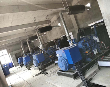 云顶国际集团500KW/400V陆用发电机应用于某养殖场项目