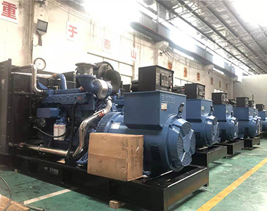 国内某养殖项目指定批量采用云顶国际集团500KW/400V陆用发电机